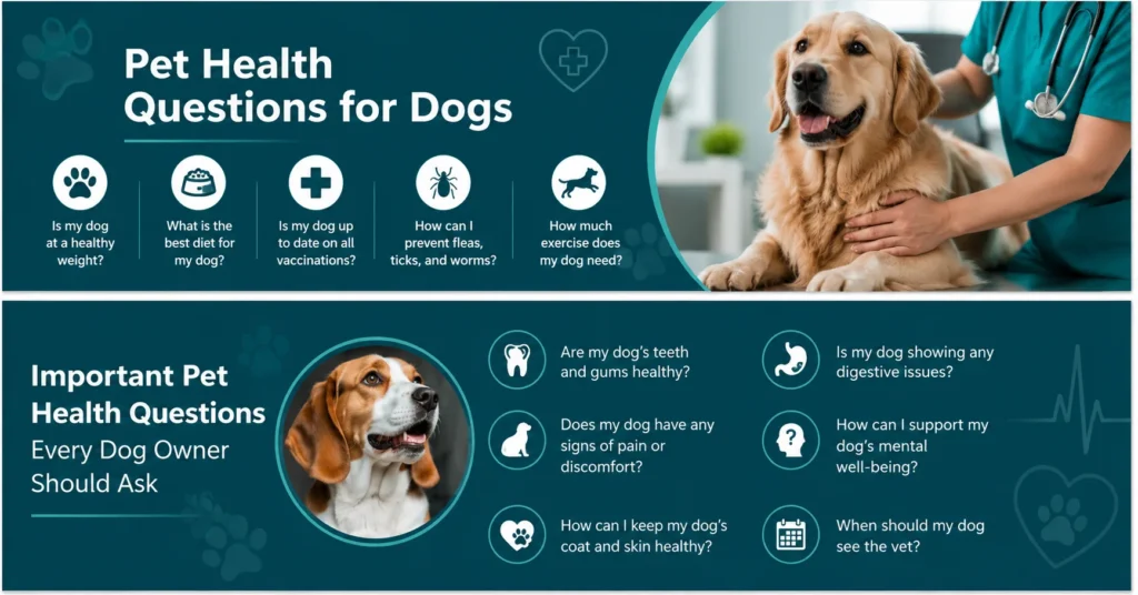 Pet health questions for dogs infographic covering healthy weight, diet, vaccinations, parasite prevention, exercise, dental health, pain, digestion, and regular veterinary care.