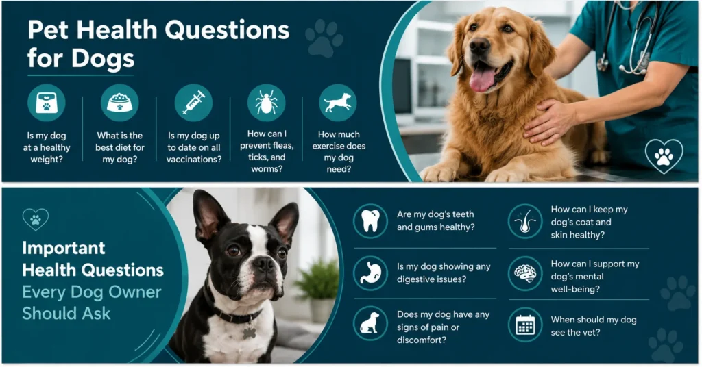 Important pet health questions for dogs infographic covering dental health, digestion, pain, skin and coat care, mental well-being, and veterinary visits.