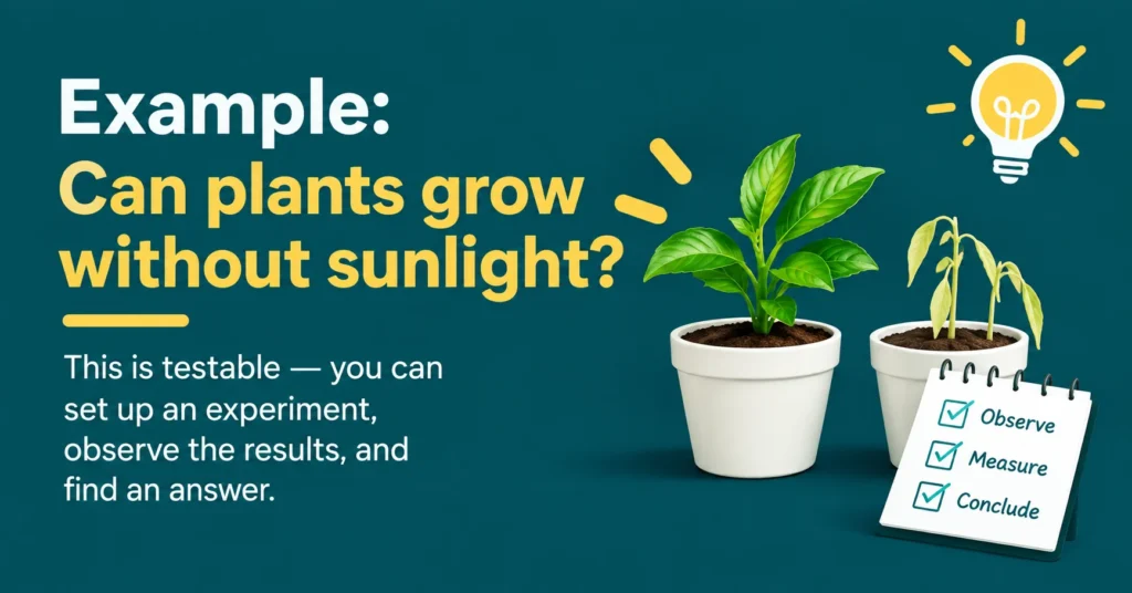 Example of a testable question: Can plants grow without sunlight? An educational graphic showing healthy and wilted plants with observation, measurement, and conclusion steps.