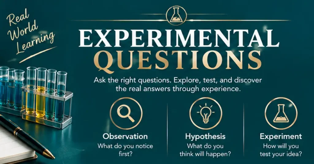 Experimental questions infographic covering observation, hypothesis, experiments, results, and conclusions.