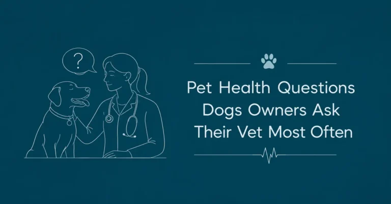 Pet health questions dogs owners ask their vet most often