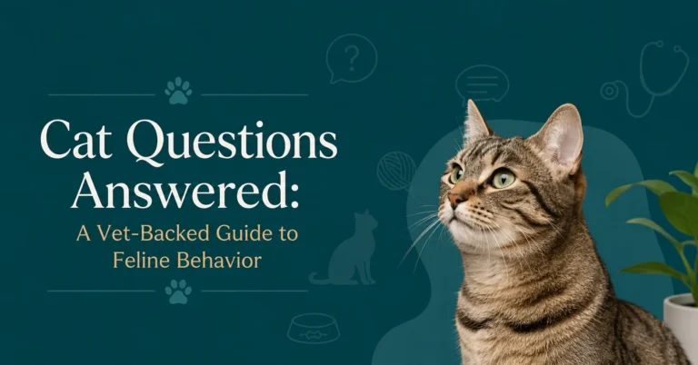 Cat Questions Answered guide to feline behavior with a vet-backed approach
